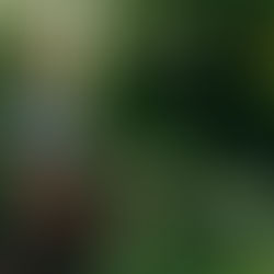 Supporting our Local Farms by Rounding up at The Barn in Sisters