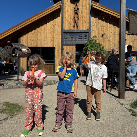 World Cup at The Barn + Community Sale benefiting the Local Waldorf inspired school