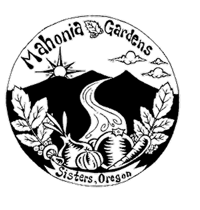 Screenshot 2025-01-28 at 12_edited.png