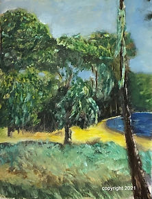 Spanish Moss Gooseneck State Park North Carolina