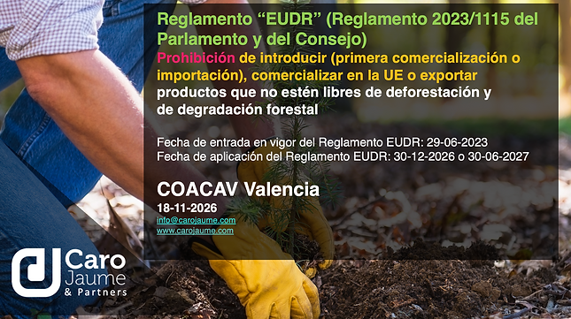 Captura de pantalla 2026-10-24 a las 3.51.54.png