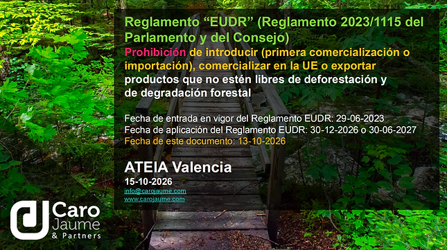 Captura de pantalla 2026-10-12 a las 23.35.55.png
