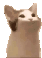 bop cat.gif