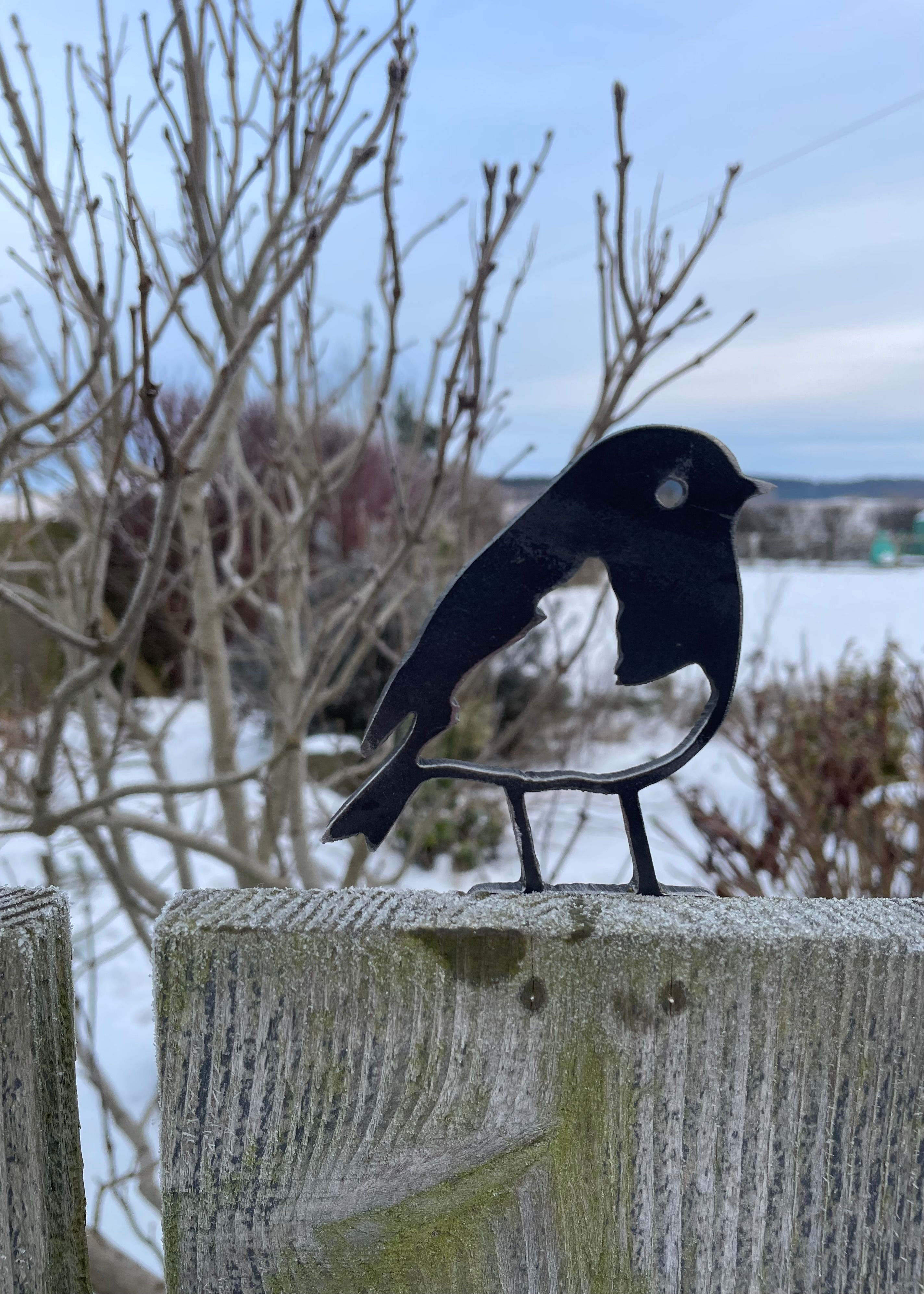 Metal Robin Bird - with Screws