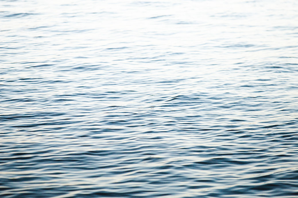 Jess McShane Photography - 20-11 - Virtu