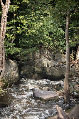 Jess McShane Photography - 25-07 - Hill Road - 015.jpg