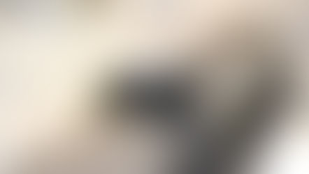 Butt Breathing Blanding's Turtle