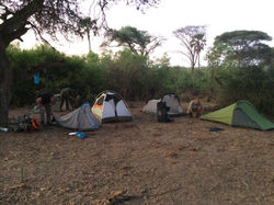 Ruaha 2015