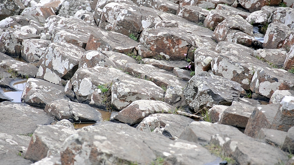 Giant's Causeway