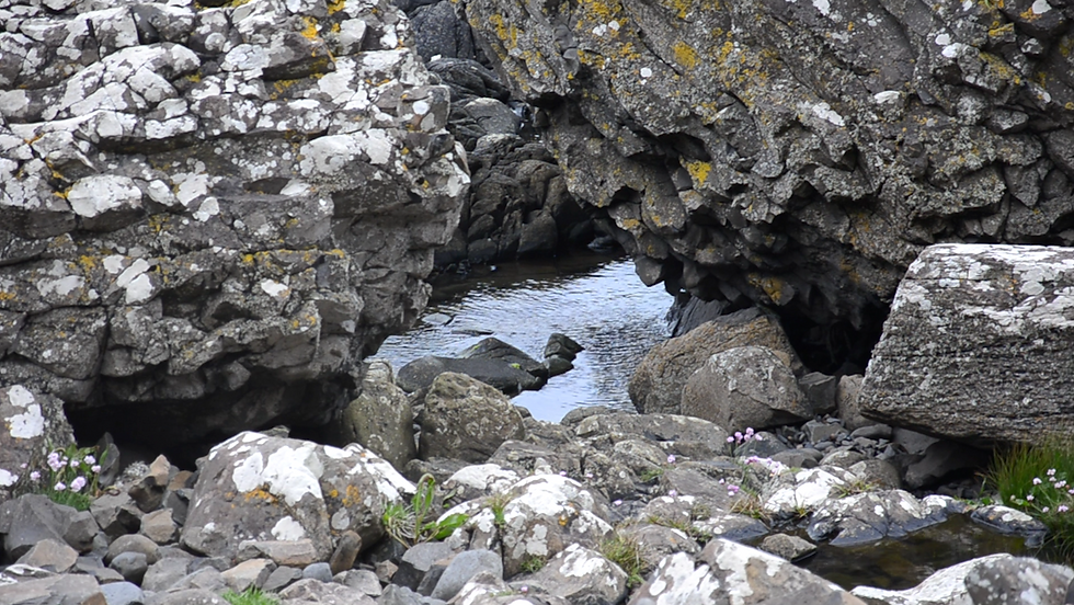 Giant's Causeway