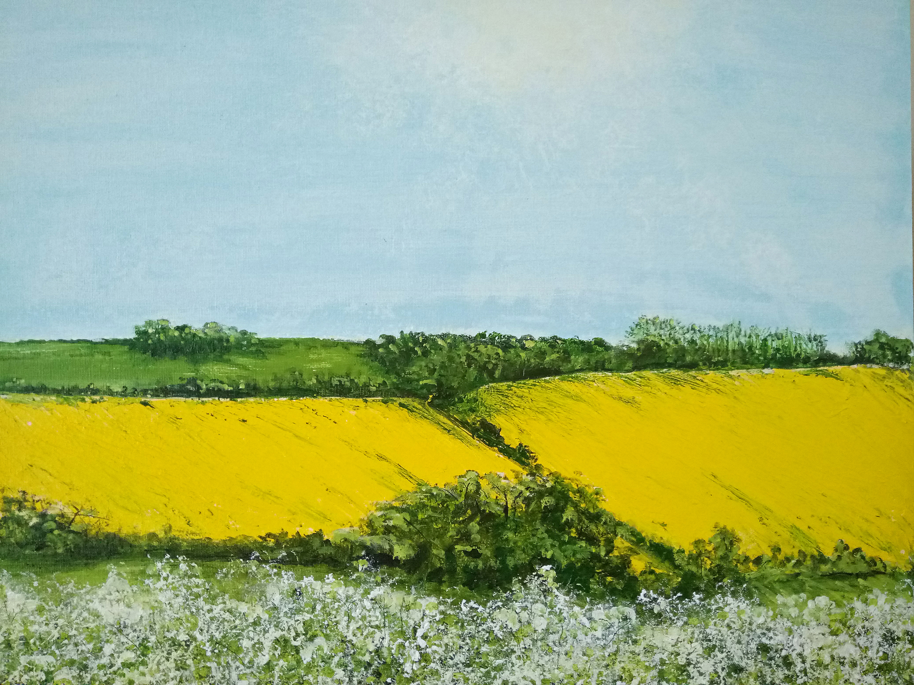 "Fields of Brilliant Yellow"