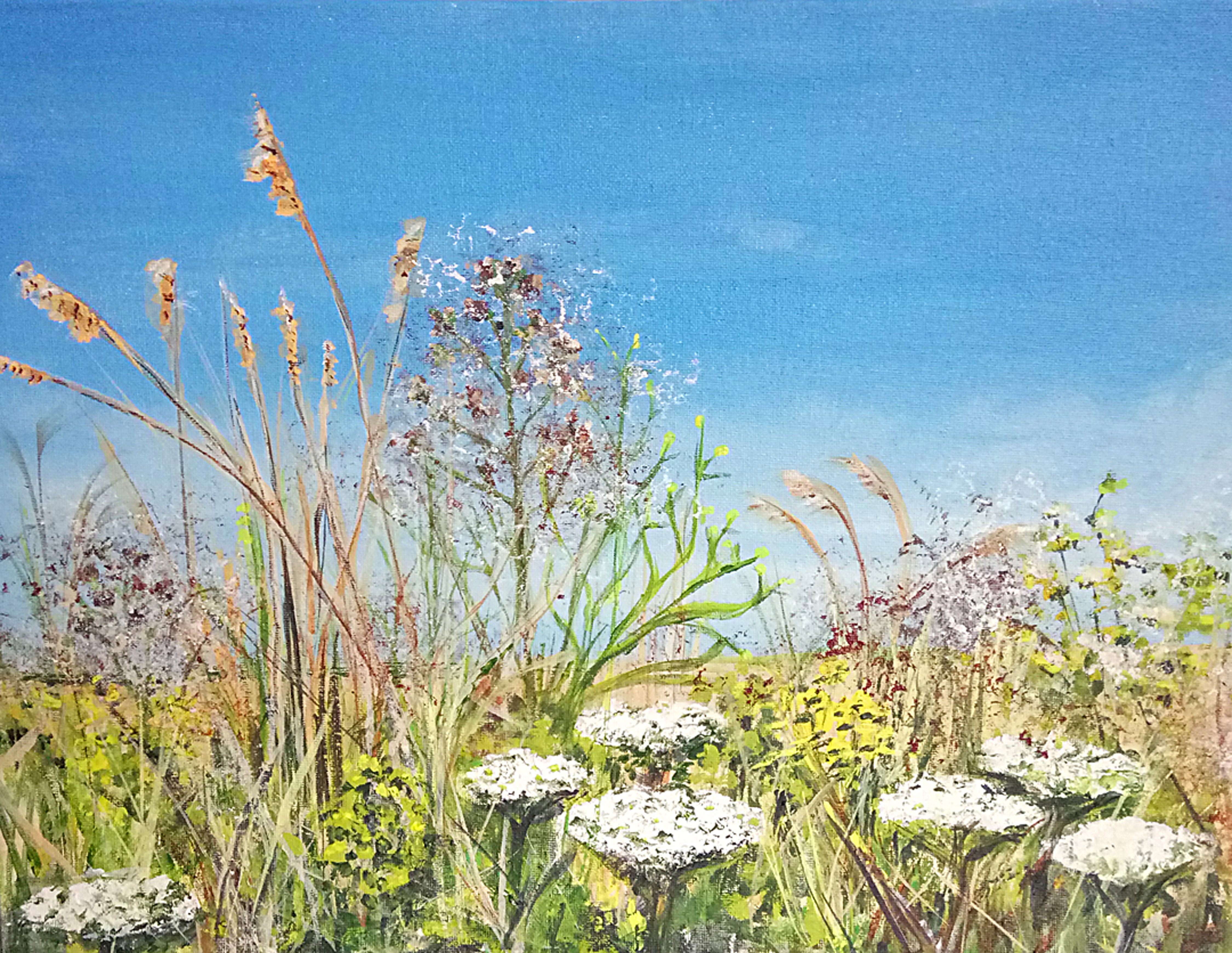 "Beach Verge"