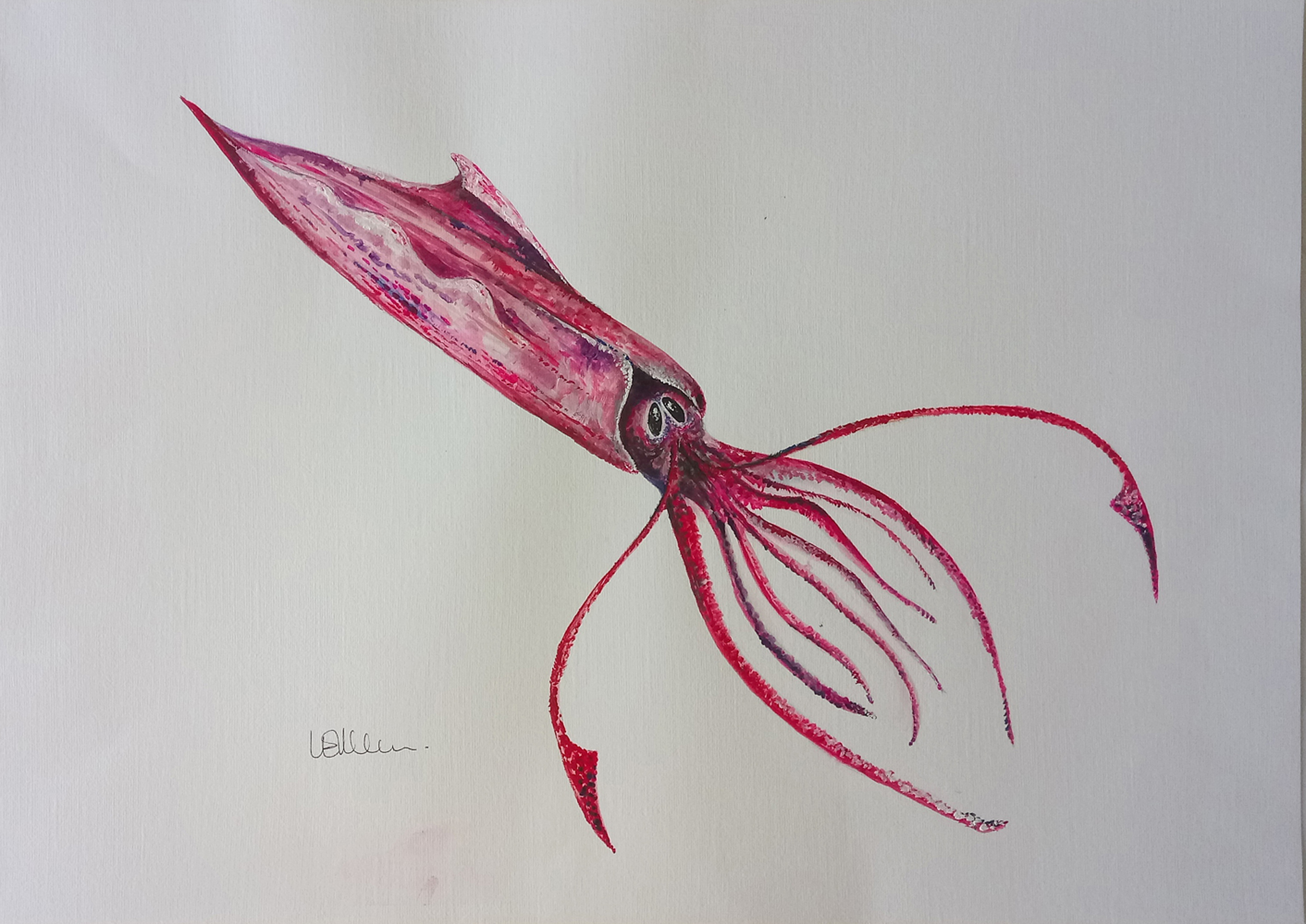 Red Skittish Squid