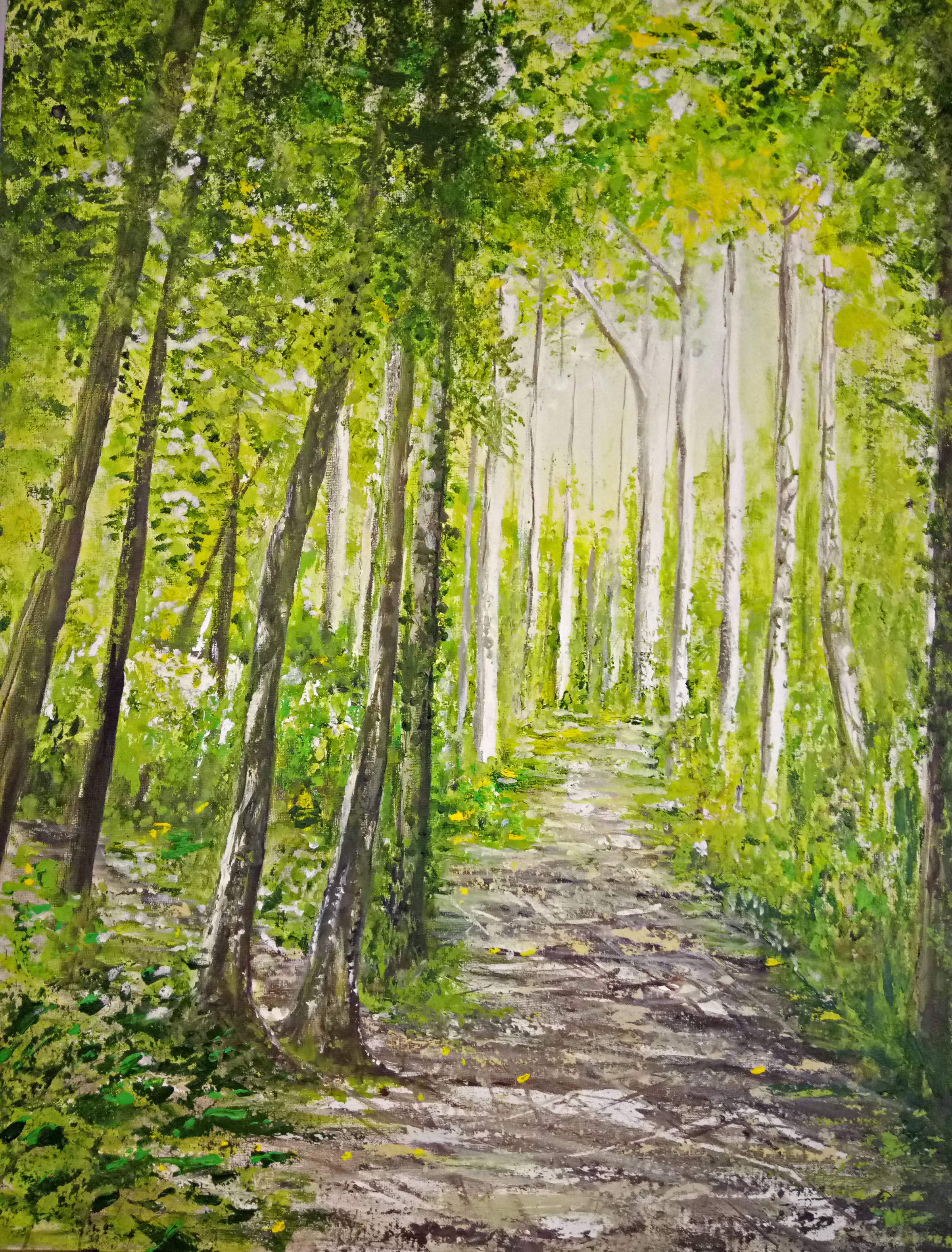 "May Bright - White Hill Woods"