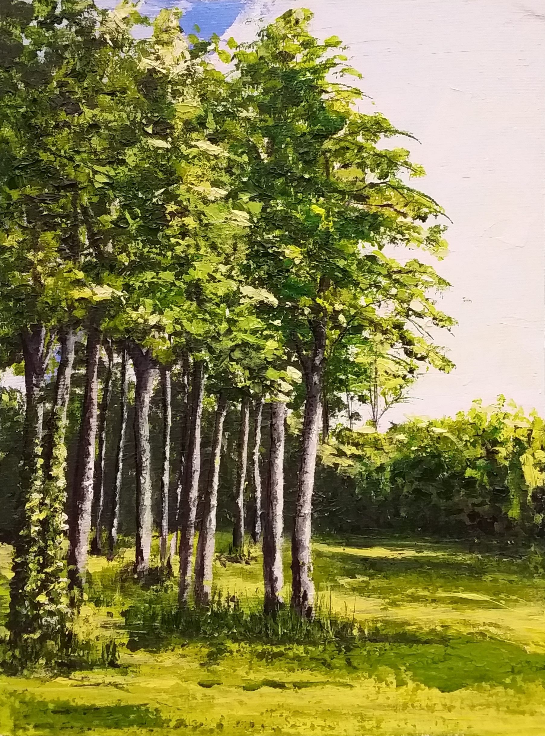 "Evening Light"