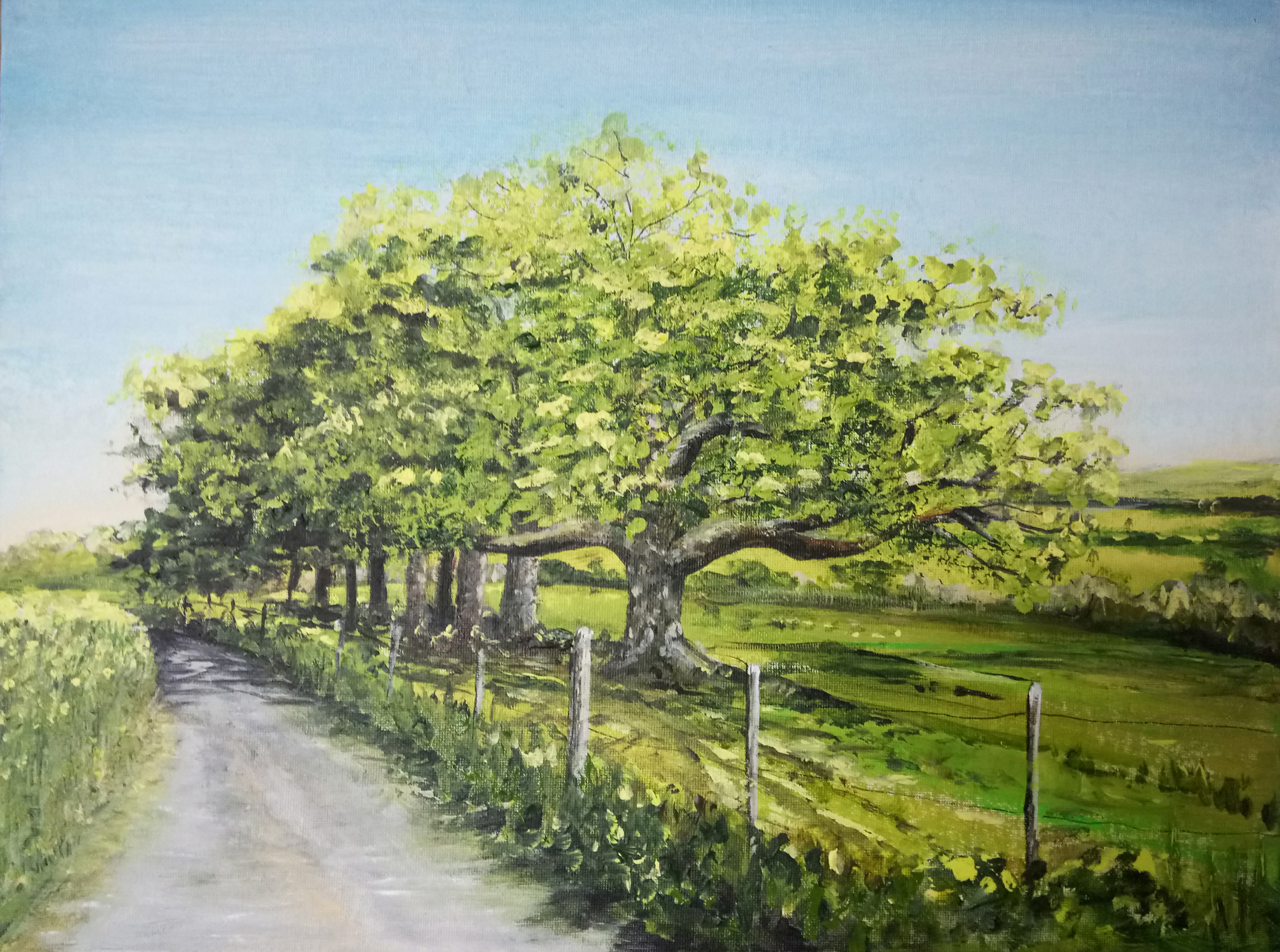 Oak Trees at the Bend