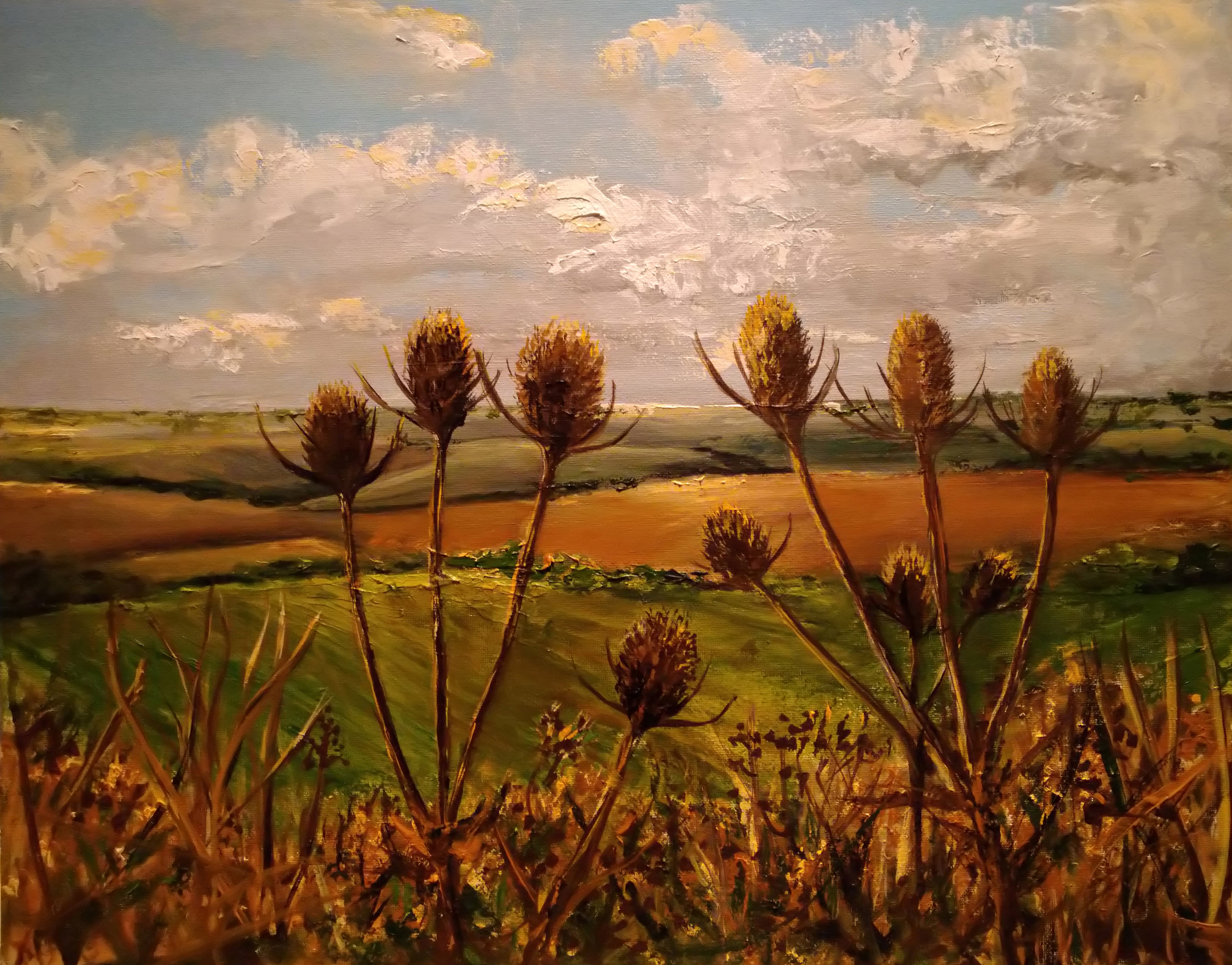 "Teasels"