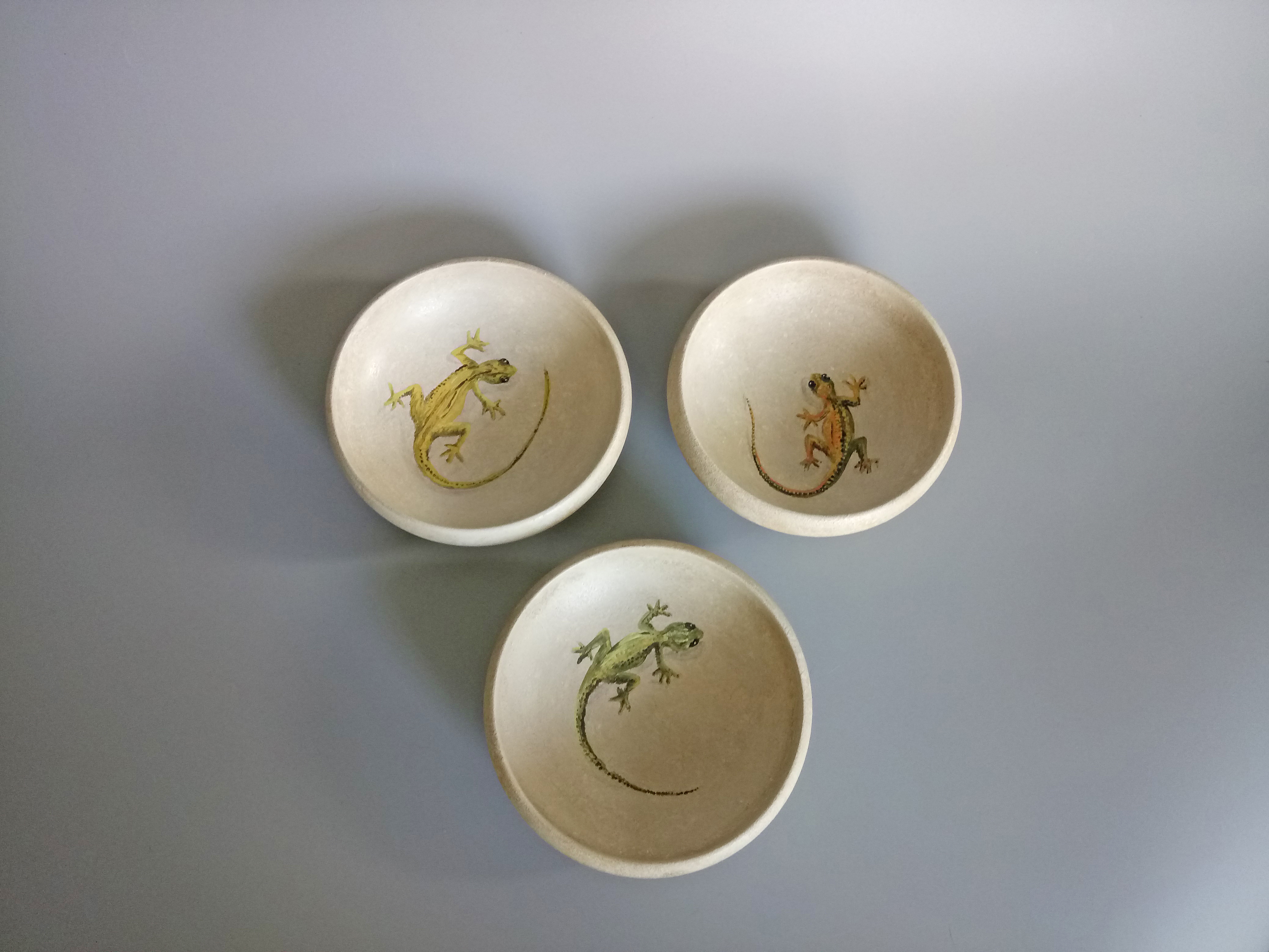 3 x Gecko Bowls