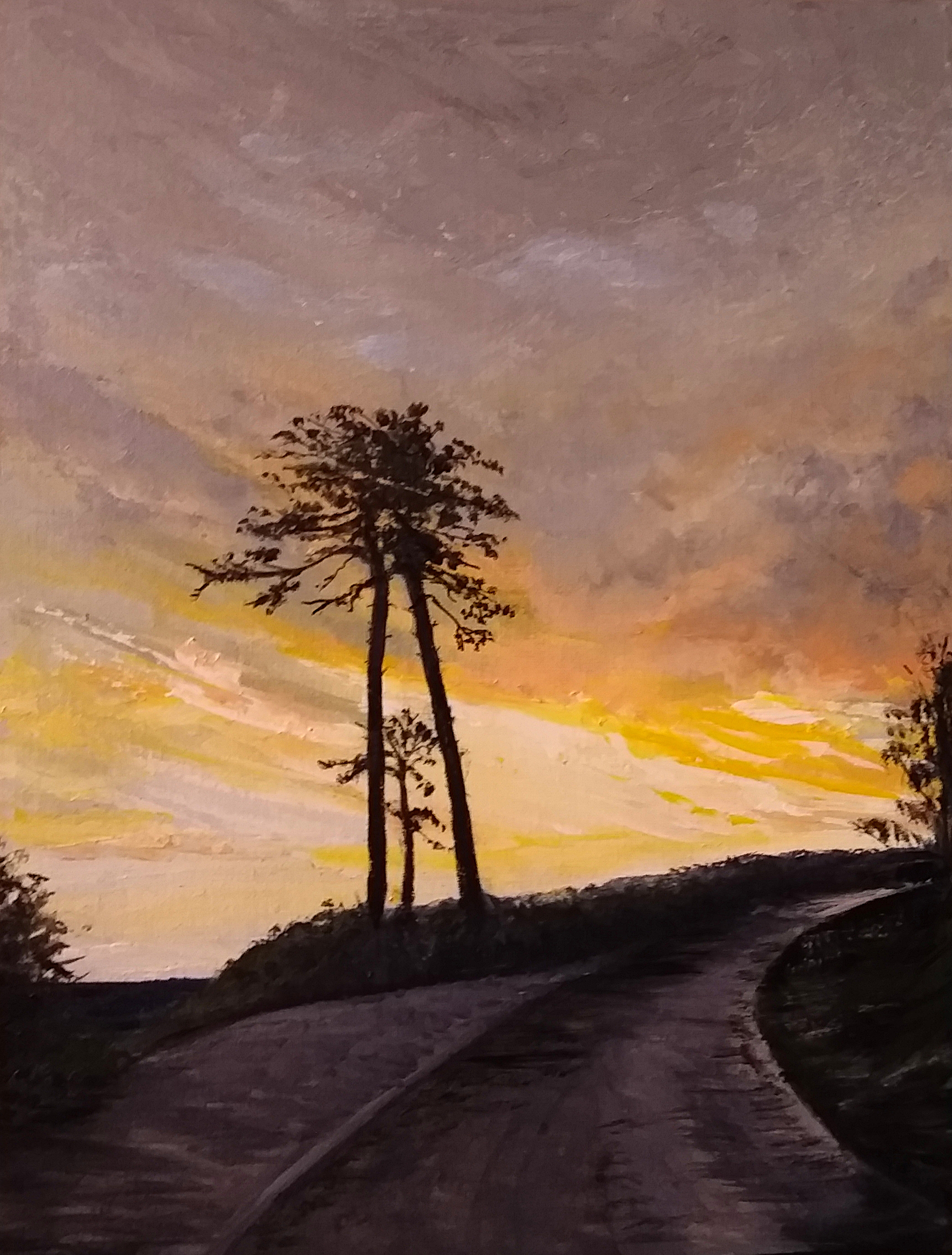 "Heading Out of Abbotsbury at Sunset"
