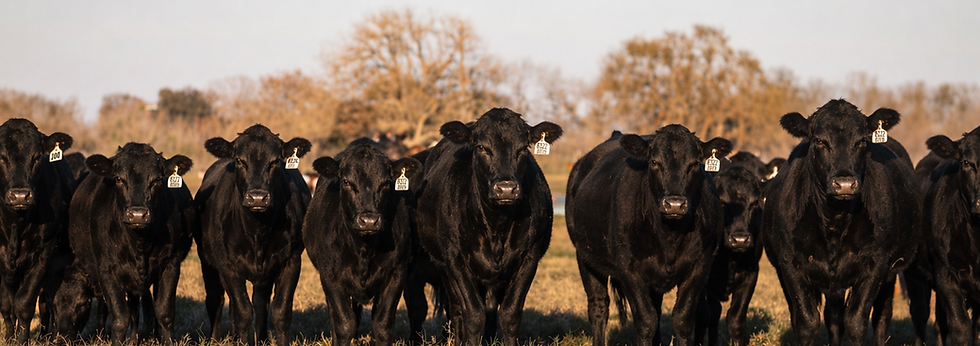 Financing Hero Image 2.png