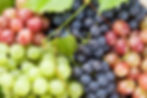 Grapes-background.jpg