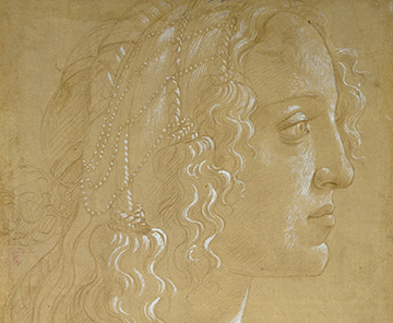 Botticelli Drawings at the de Young