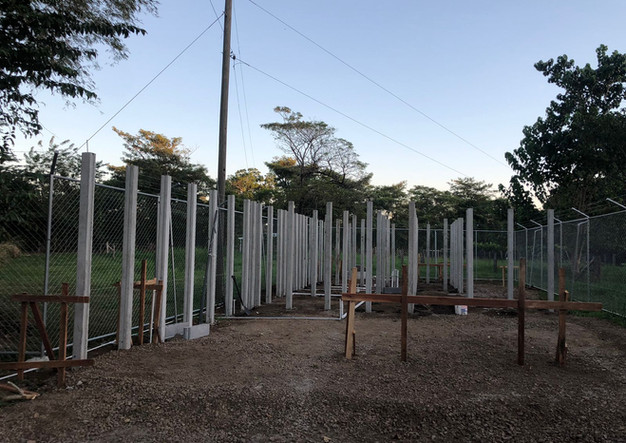 WhatsApp Image 2021-11-14 at 10.50.04.jpeg