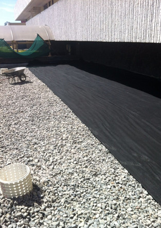 WhatsApp Image 2022-10-25 at 2.50.28 PM (1).jpeg