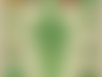 How Cannabis Keeps You Healthy + Free Resources