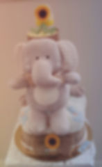 gateau pampers neutre.jpg