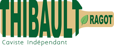 logo vin 1.png