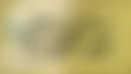 سادي ساتي - عبور زحل على قمر العذراء