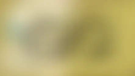 سادي ساتي - عبور زحل على قمر العذراء