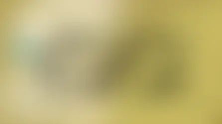 سادي ساتي - عبور زحل على قمر العذراء