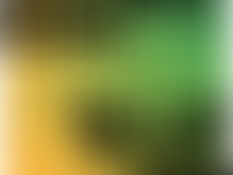 Can AI-Powered Chatbots Drive a More Sustainable Society?