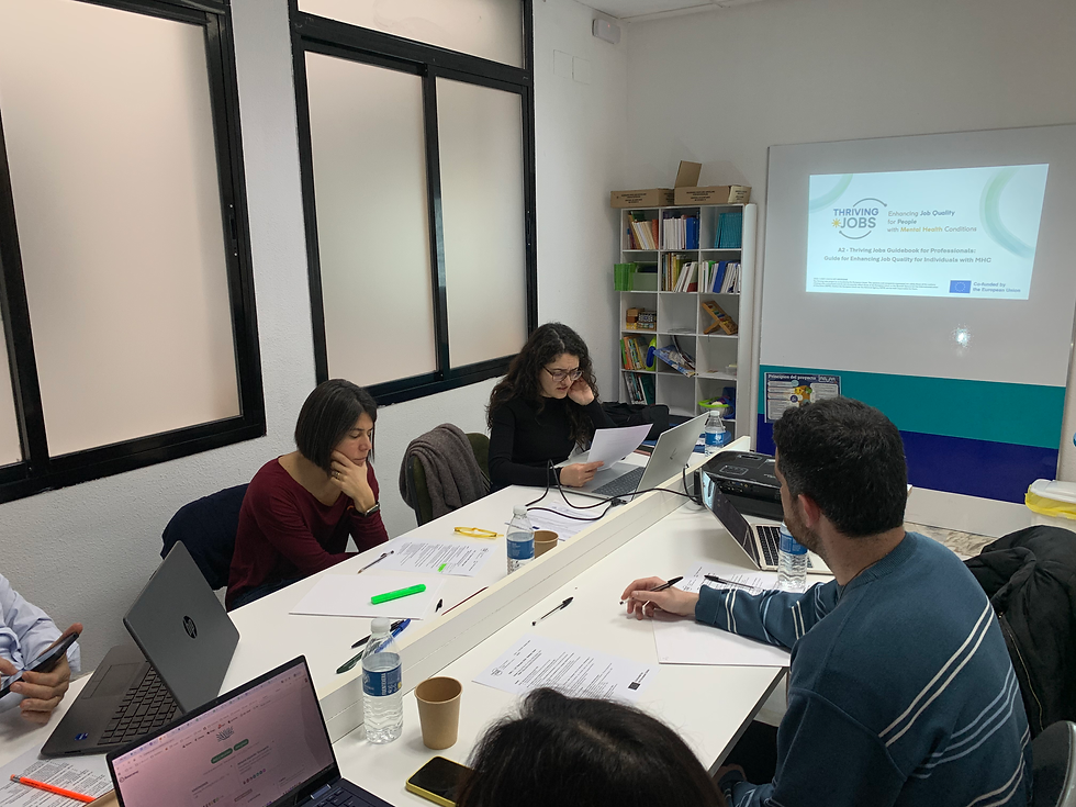 Thriving Jobs partners meeting in Spain