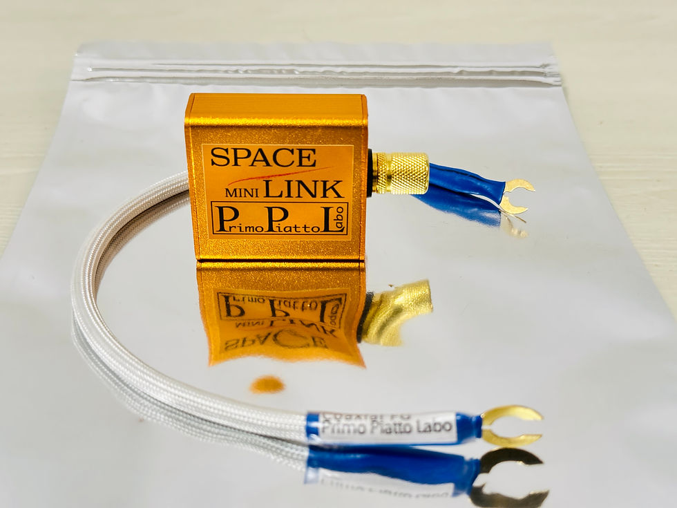 サムネイル： 【仮想アース】Space Link mini