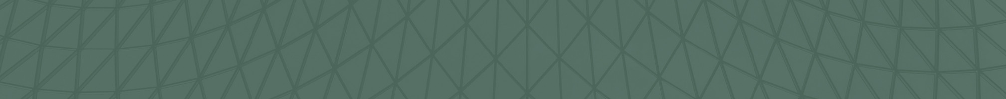Geometric Roof Structure_edited_edited_e