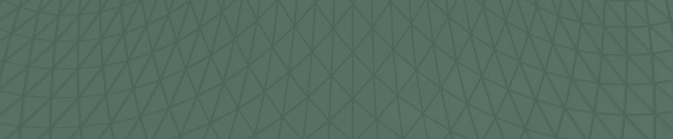 Geometric Roof Structure_edited_edited_edited_edited_edited.jpg