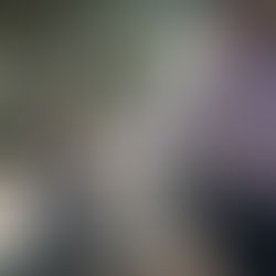 Understanding Animals – Benefits of animal communication