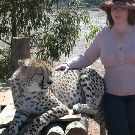 Understanding Animals – Benefits of animal communication