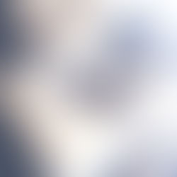 My conversations with animals