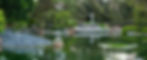 The lush greenery at the Japanese Friendship Garden of Phoenix. The koi pond is visable with a bridge over top and two japanese lanterns.