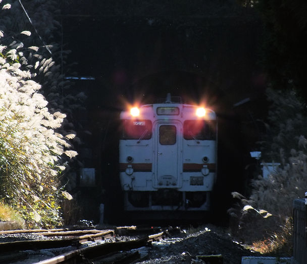 紀勢線キハ40・48四季写真集大内山駅
