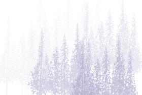 Elemento Floresta_edited.png