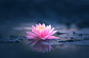 Integrative Psychiatry