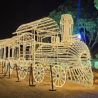 צילום: תום עמית