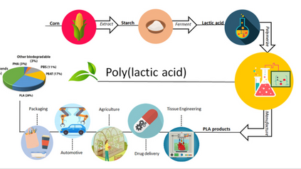 Most cited review paper