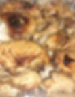 BAKED CHICKEN W/ RICE
