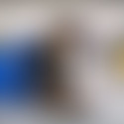 Dog-friendly flight on Lift Airlines with pet in cabin